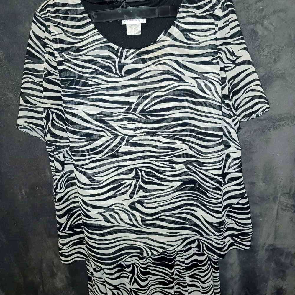 Pride and Joy 2pc Zebra print skirt and blouse set